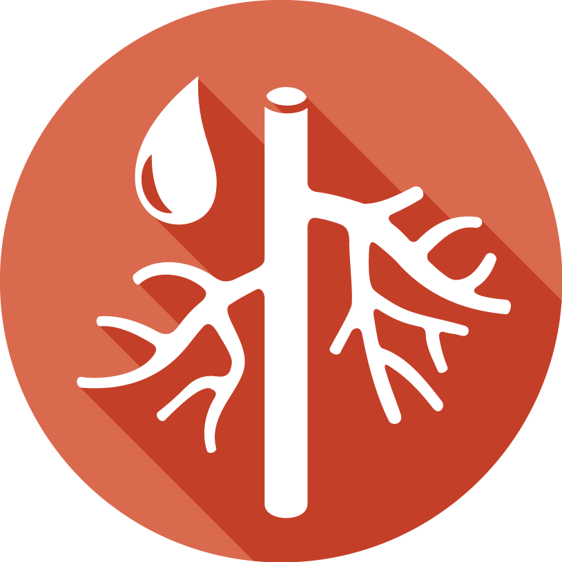 Vascular Surgery