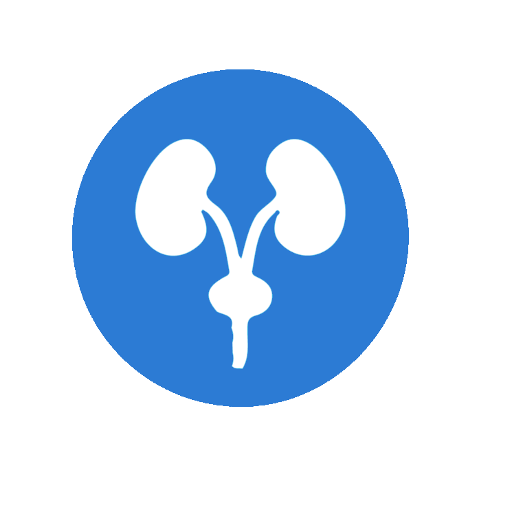 Urology
